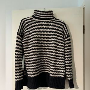 Everlane Merino Wool/Alpaca Oversized Cloud Turtleneck